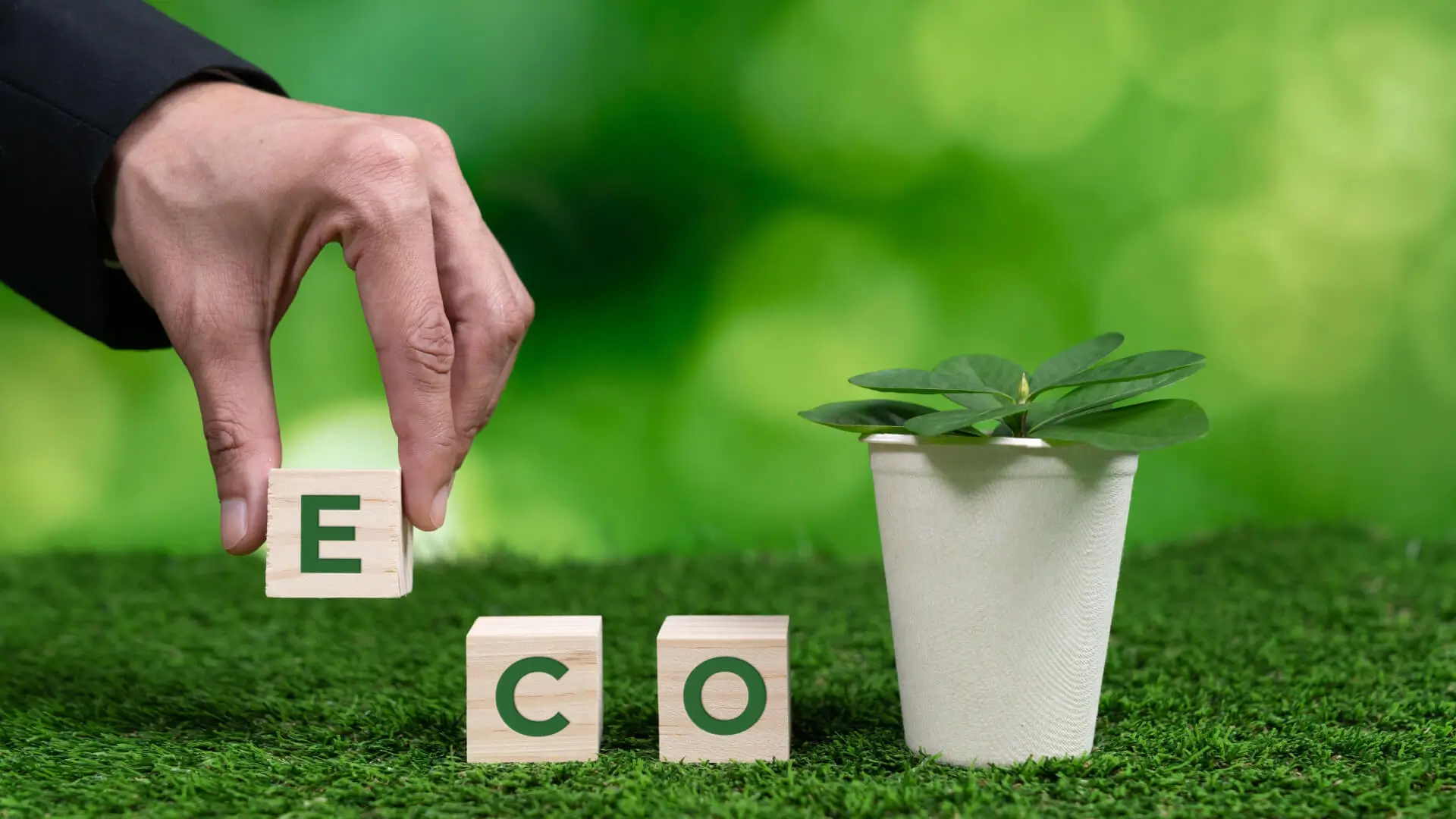 Services 6 Eco-Friendly Solution